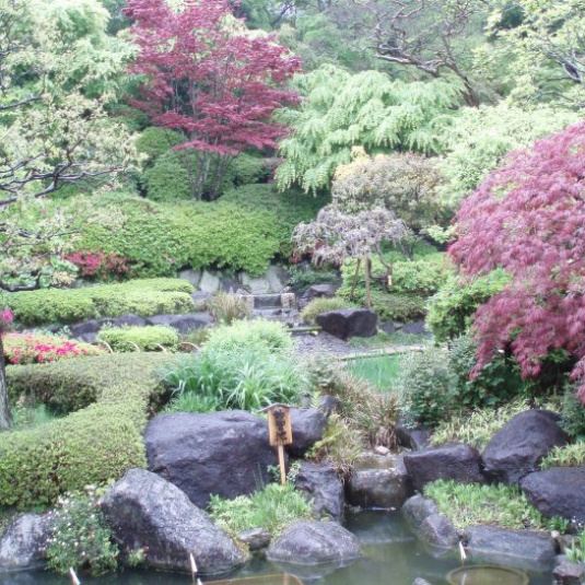 Дивный японский сад